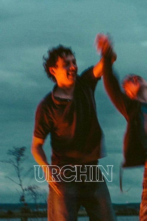 Urchin Urchin