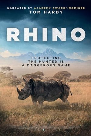 rhino