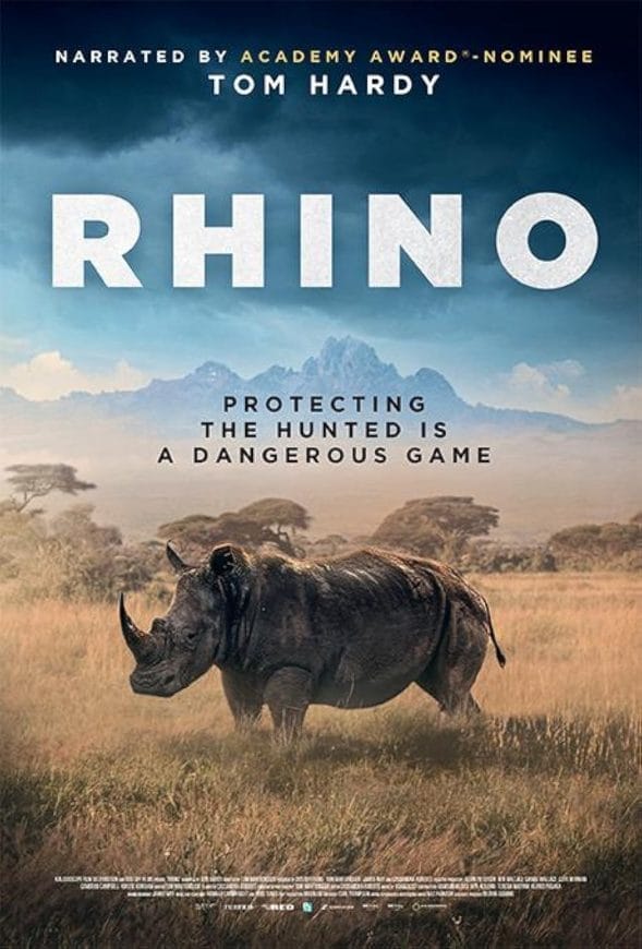 rhino