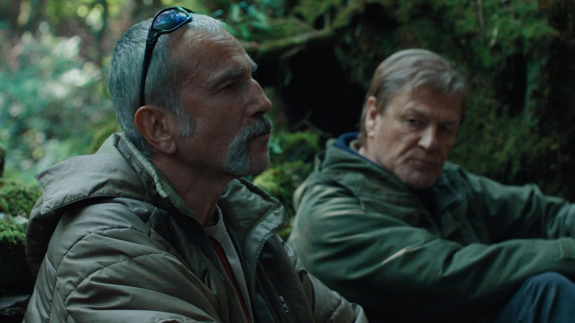 Anemone Film Times Trailer Cromarty Cinema anemone-film-times-trailer-cromarty-cinema